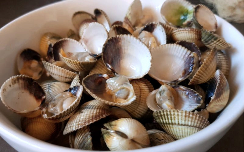BERBERECHOS Ensaladilla rusa