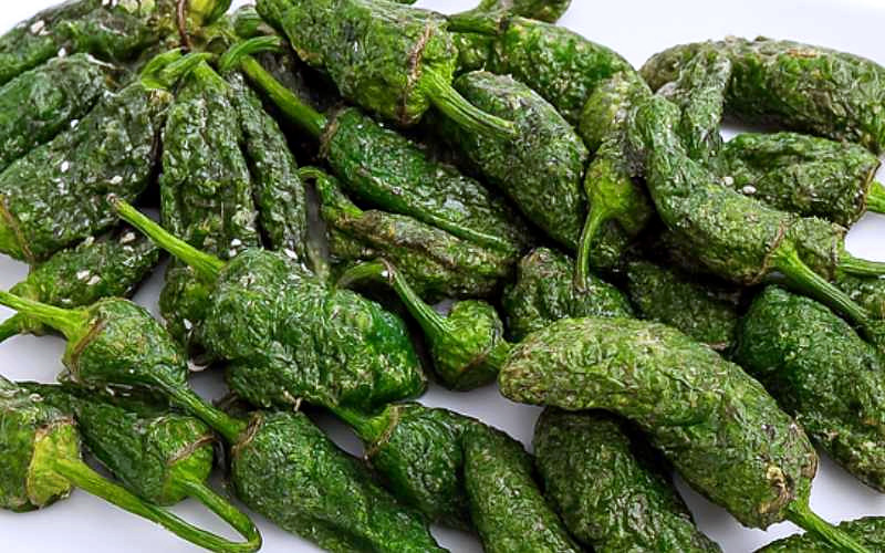Pimientos de Padrón Pimientos de Padrón