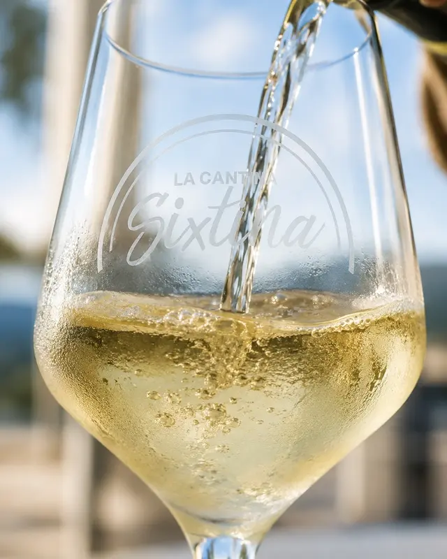 Vino Blanco Vino Blanco
